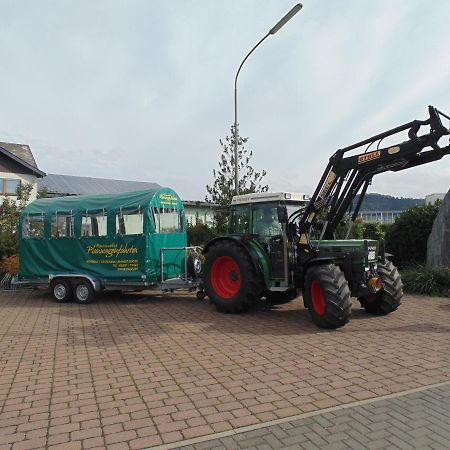 Weingut Lehnert-Spaeter Piesport Buitenkant foto