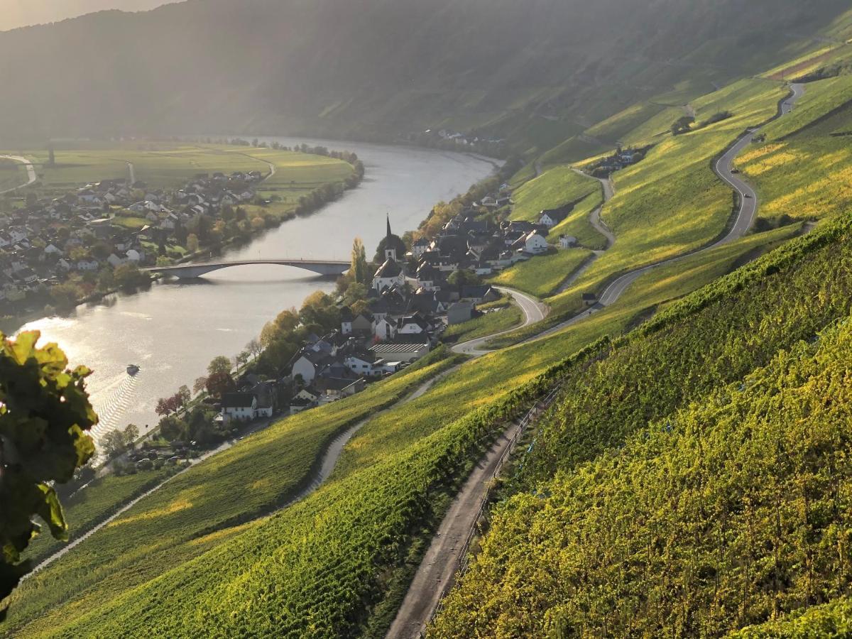 Weingut Lehnert-Spaeter Piesport Buitenkant foto